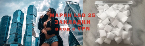 спайс Белая Холуница