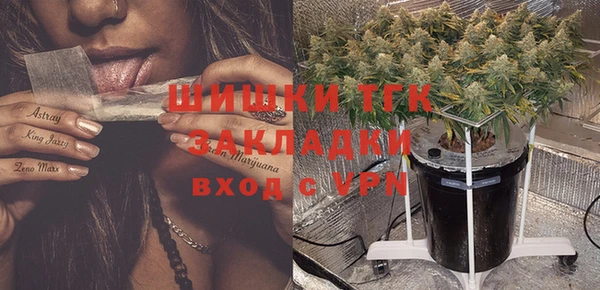 мескалин Богородицк