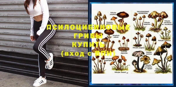 ешки Богданович