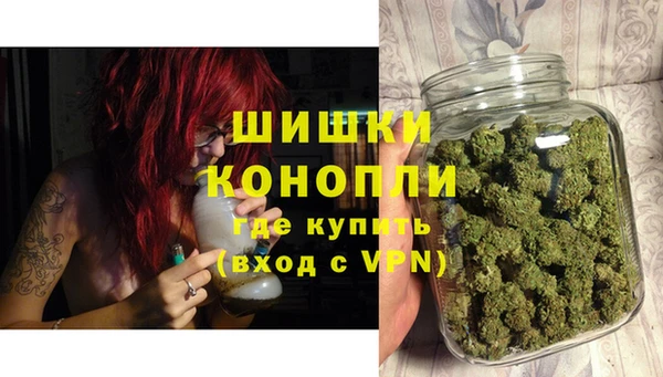 PSILOCYBIN Верея
