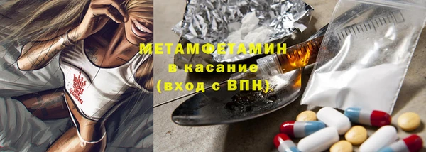 прущие грибы Елизово